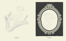 Load image into Gallery viewer, Coloready Birds
