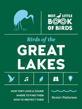 Load image into Gallery viewer, Birds of the Great Lakes
