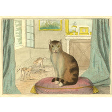Load image into Gallery viewer, Calm Cat 750 Piece Puzzle
