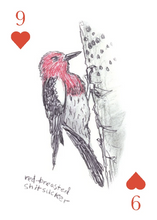 Load image into Gallery viewer, Field Guide to Dumb Birds Playing Cards
