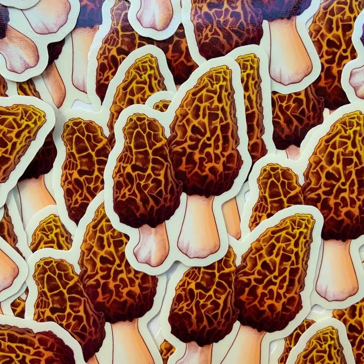 Morel Sticker