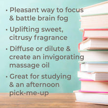 Load image into Gallery viewer, Brain Aid Essential Oil Blend Roll-On
