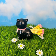 Load image into Gallery viewer, Tuxedo Kitty Match Striker - Tigertree
