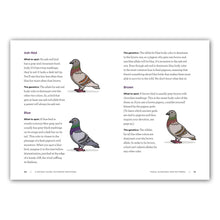 Load image into Gallery viewer, A Pocket Guide to Pigeon Watching - Tigertree

