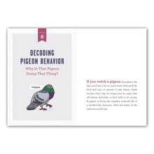 Load image into Gallery viewer, A Pocket Guide to Pigeon Watching - Tigertree
