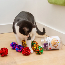 Load image into Gallery viewer, Kiko Crinkle Balls

