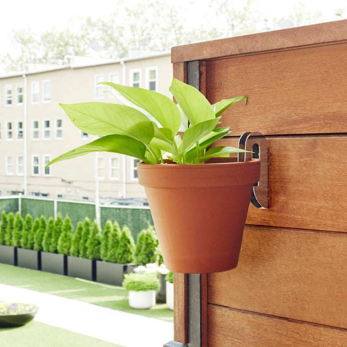 Floating Plant Hanger - Tigertree