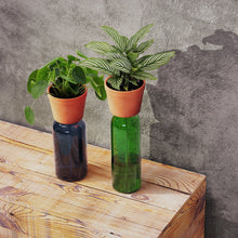 Load image into Gallery viewer, Bottle Planter - Tigertree

