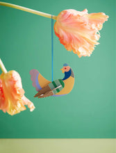 Load image into Gallery viewer, Chicken Kit
