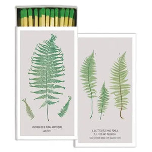 Ferns on White Background Matches - Tigertree