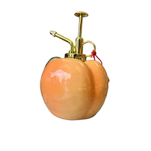 Load image into Gallery viewer, Peach Plant Mister
