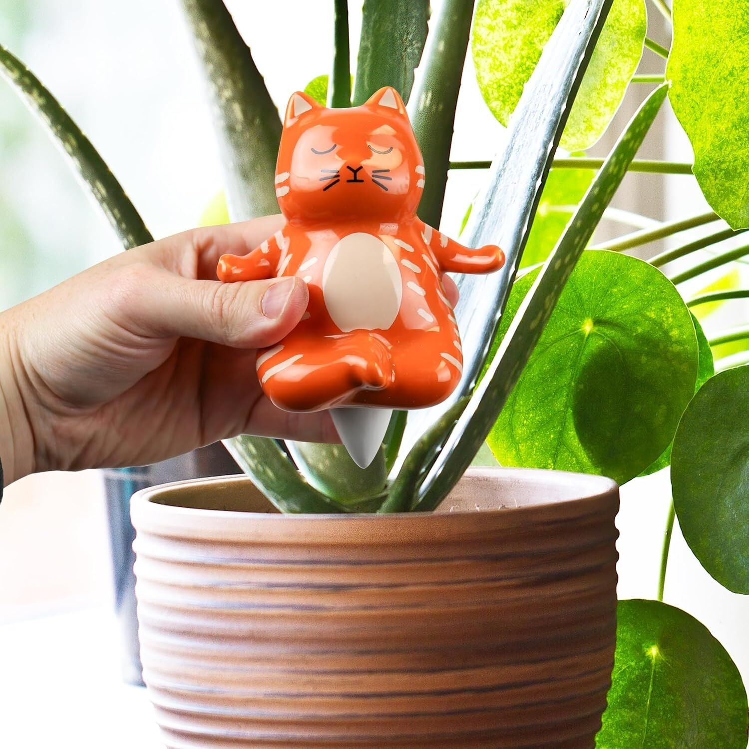 water dispenser for potted plants Gift Republic Yoga Cat Self Watering Plant Dispenser