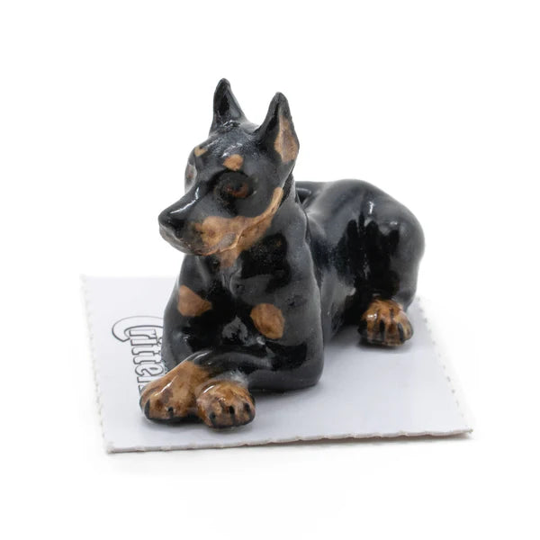 King pinscher hot sale