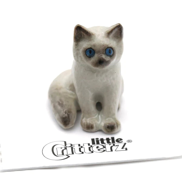 Samantha Ragdoll Kitten - Little Critterz - Tigertree
