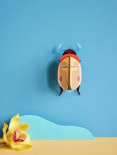Load image into Gallery viewer, Lemon Fruit Beetle - Tigertree
