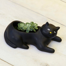 Load image into Gallery viewer, Cosmo Black Cat Planter - Tigertree
