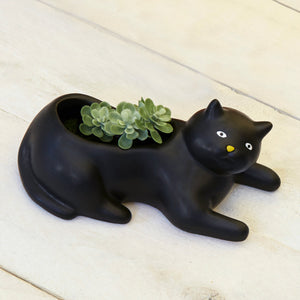 Cosmo Black Cat Planter - Tigertree