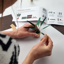Load image into Gallery viewer, Paper Plants Kit
