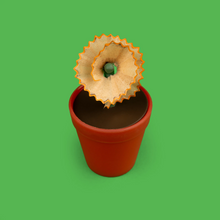 Load image into Gallery viewer, Flower Pot Pencil Sharpener
