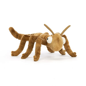 Stanley Stick Insect - Tigertree