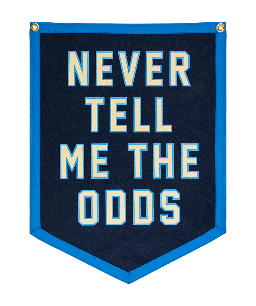 Star Wars Never Tell Me Camp Flag