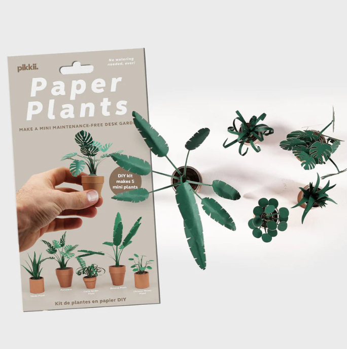 Paper Plants Kit