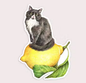 Lemon Cat Vinyl Sticker - Tigertree