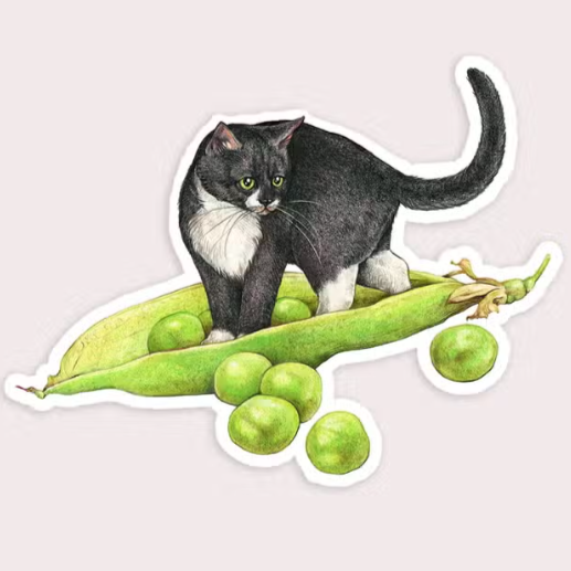 Peas Cat Vinyl Sticker - Tigertree