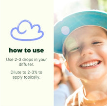 Load image into Gallery viewer, Happy Place KidSafe Essential Oil Pre-Diluted Roll-On
