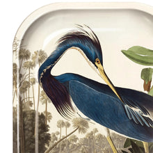 Load image into Gallery viewer, Small Metal Vintage Audubon Louisiana Heron Trinket Tray - Tigertree
