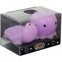 Load image into Gallery viewer, Squishi Besties Set
