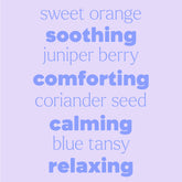 Load image into Gallery viewer, Nighty Nighty KidSafe Essential Oil Roll-On
