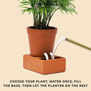 Self Care Planter