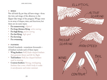 Load image into Gallery viewer, Bird Watching Book- Pocket Nature
