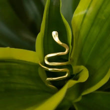 Load image into Gallery viewer, Serpentine Ring - Tigertree
