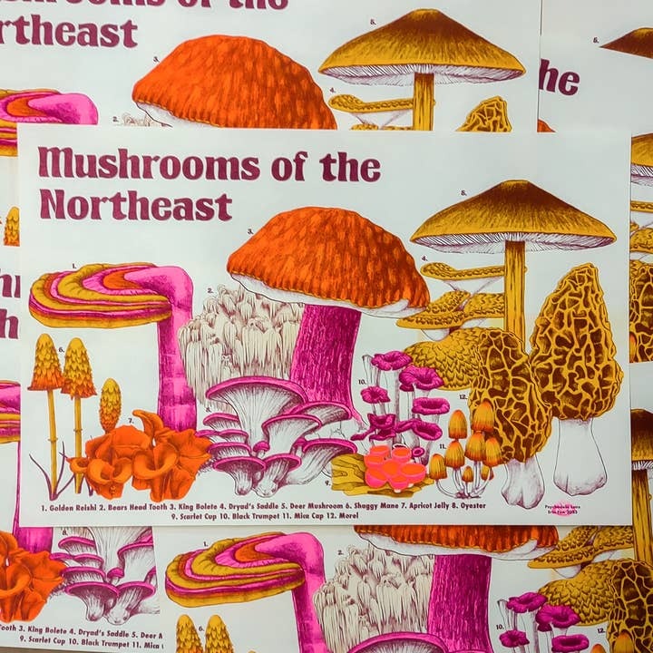 Mushrooms of the Northeast Print - Tigertree