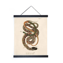 Load image into Gallery viewer, 11x14 Vintage French Snake Zoology Print - Tigertree

