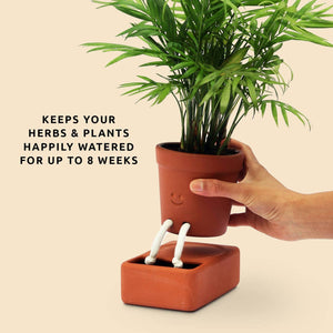 Self Care Planter