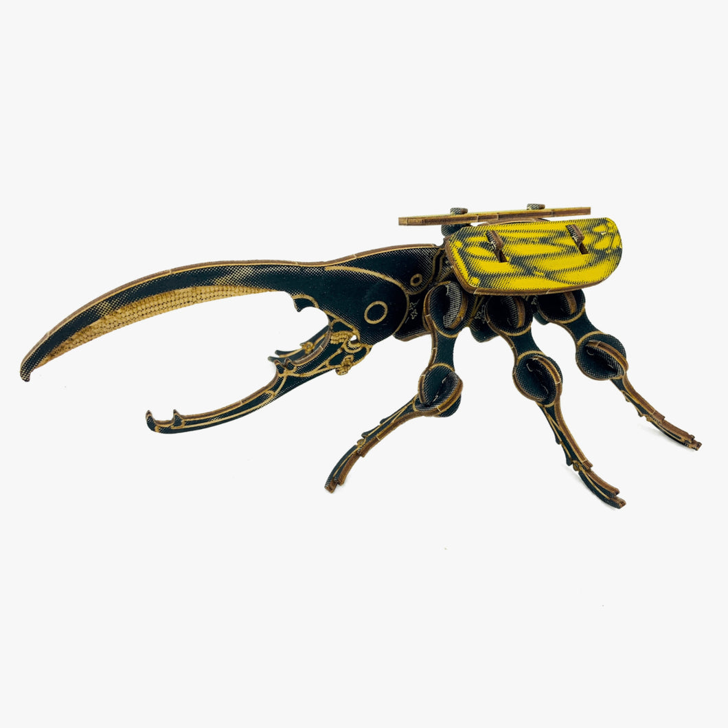 Arthropoda Beetle Kit - Tigertree