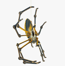 Load image into Gallery viewer, Arthropoda Spider Kit - Tigertree
