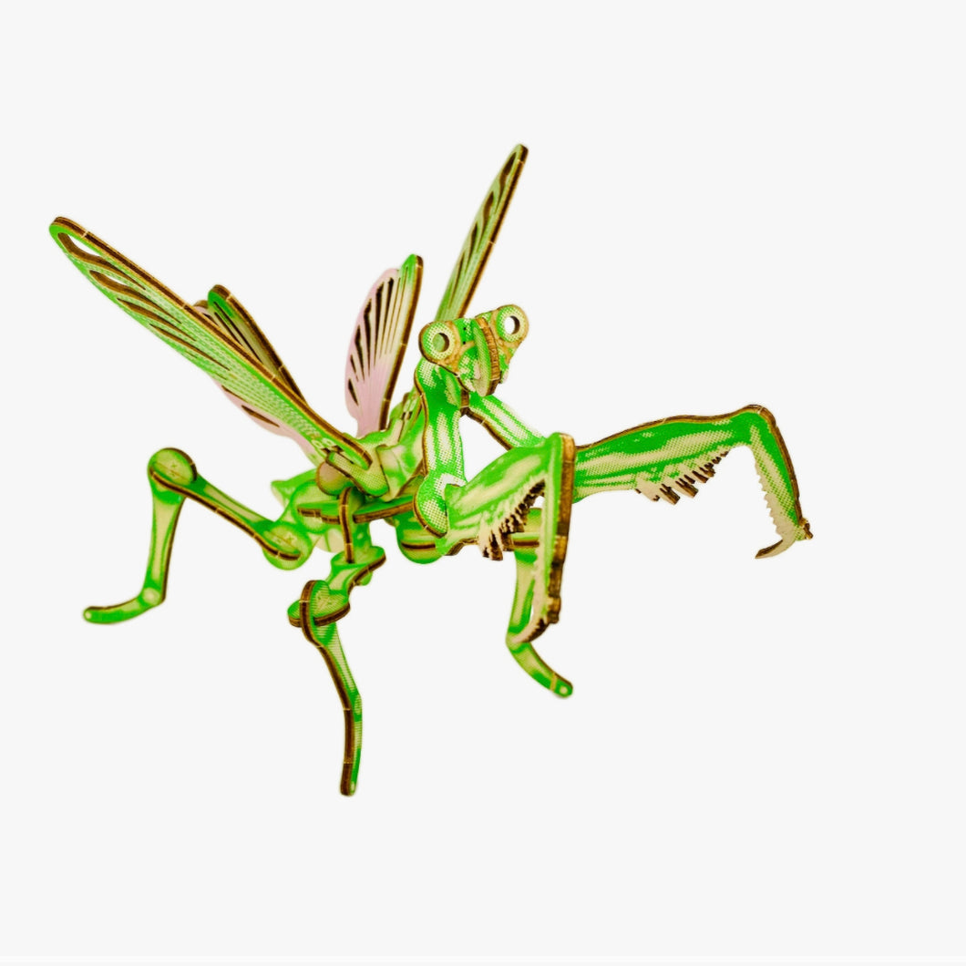 Arthropoda Mantis Kit - Tigertree