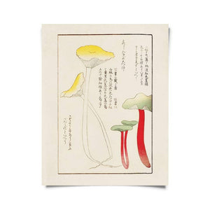 Vintage Japanese Mushroom Print