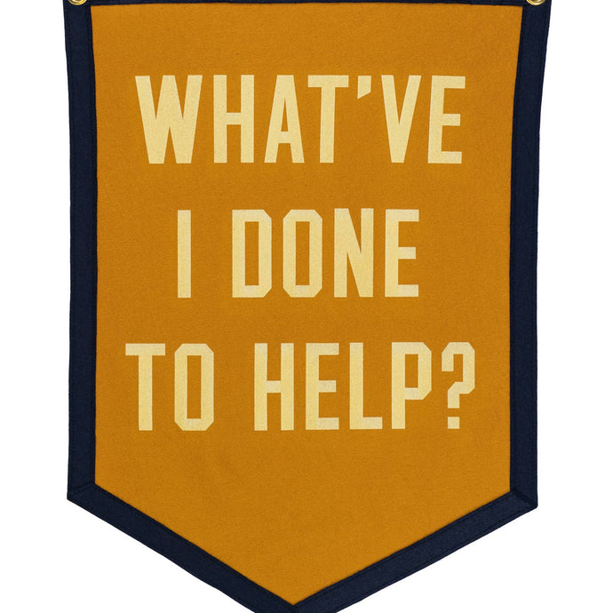 What I've Done To Help Camp Flag - Tigertree