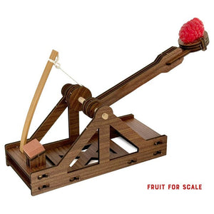 Mini Catapult Wooden Building Kit