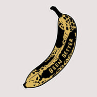 Been Better Sticker - Tigertree