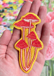 Bonnet Mushroom Patch