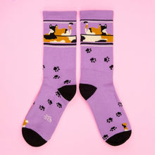 Load image into Gallery viewer, Lounging Calico Cat Gym Crew Socks - Tigertree
