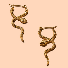 Load image into Gallery viewer, Coil Hoops Gold Plated
