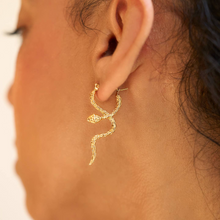 Load image into Gallery viewer, Coil Hoops Gold Plated
