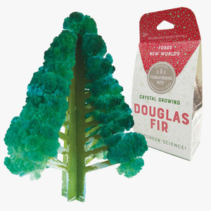 Douglas Fir Crystal Growing Kit - Tigertree